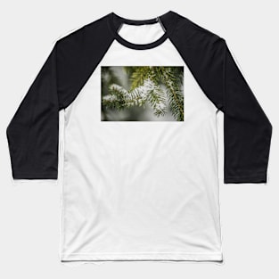 Christmas Pine 3 Baseball T-Shirt